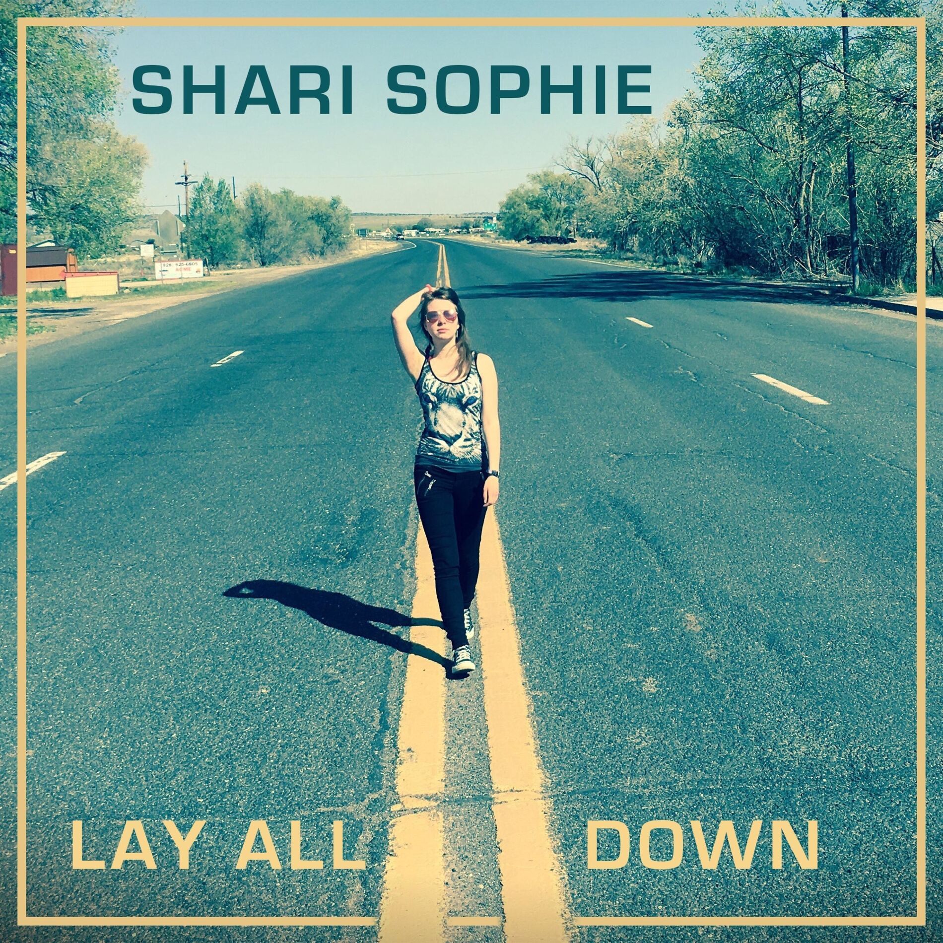 Album cover of Lay All Down