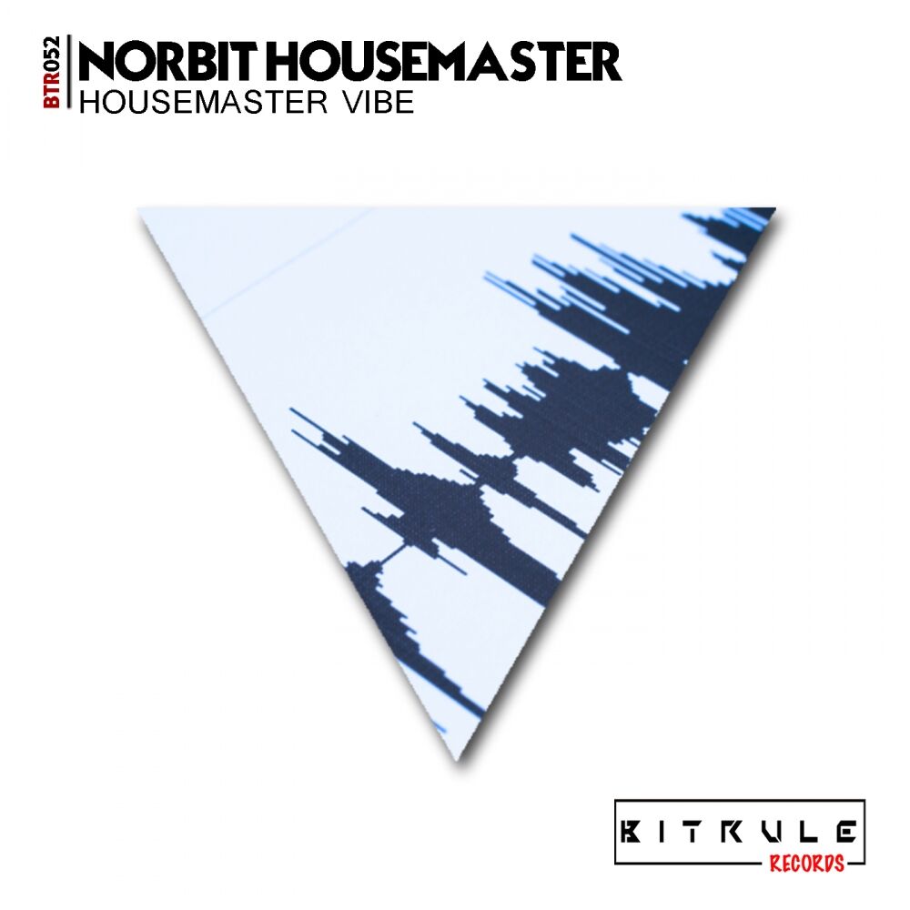 Picture of Housemaster Vibe
