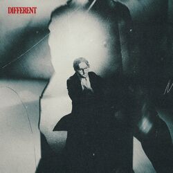 Cover of DIFFERENT