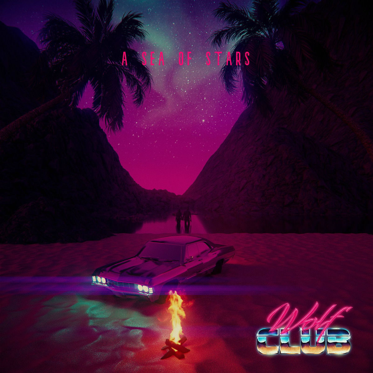 Album cover of A Sea of Stars
