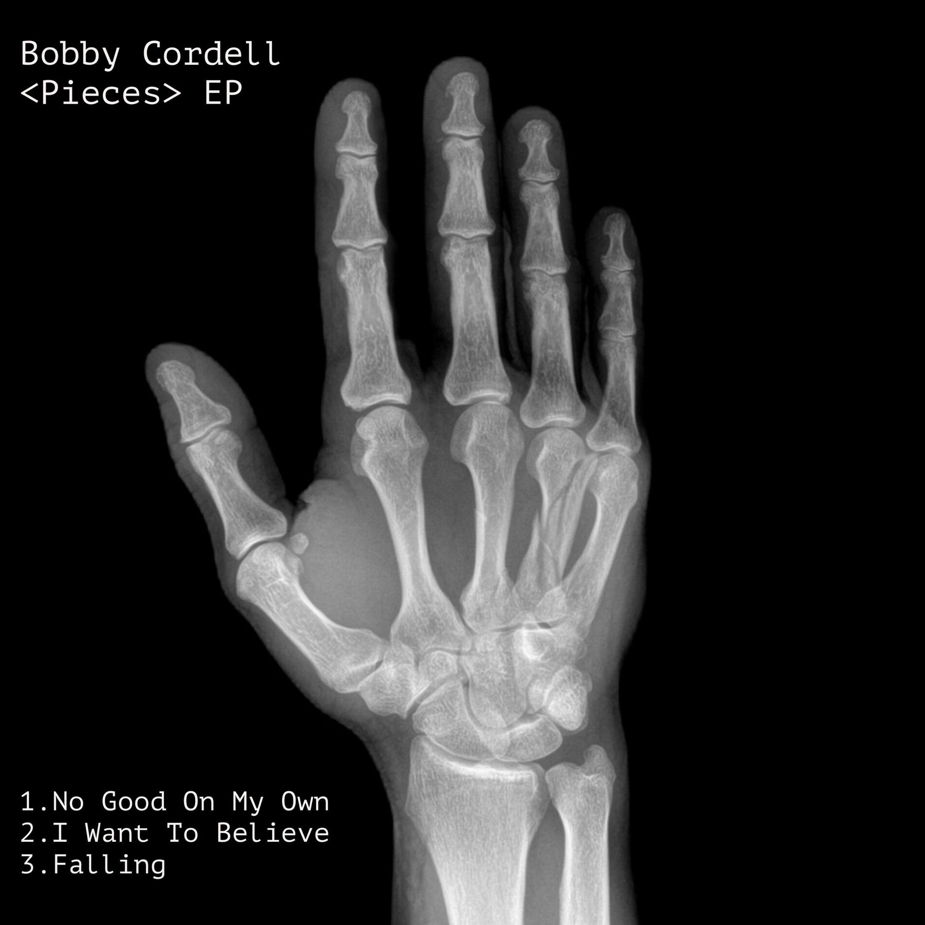 Album cover of Pieces