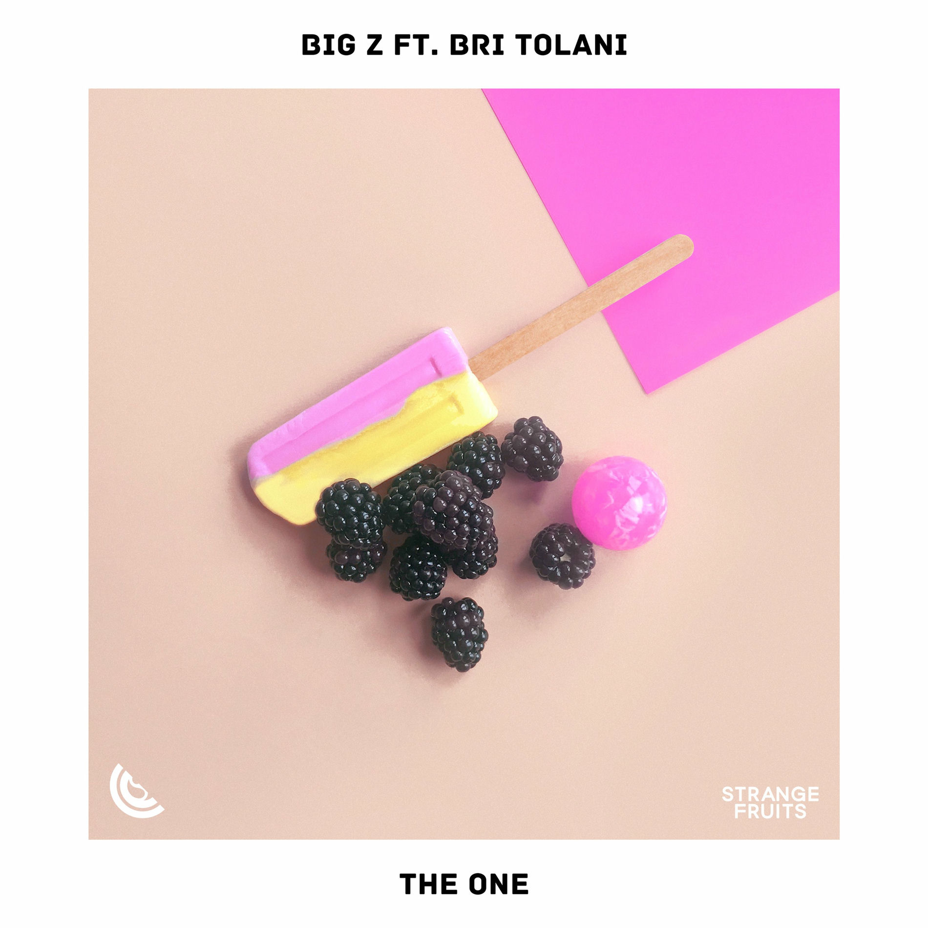 Album cover of The One (feat. Bri Tolani)