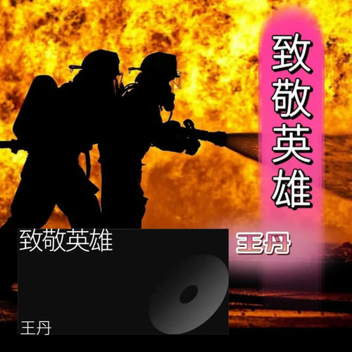 致敬英雄