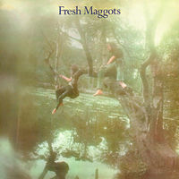 Fresh Maggots: albums, songs, concerts | Deezer Fresh Maggots: albums, songs, concerts | Deezer