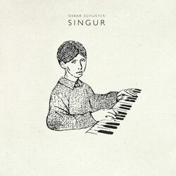 Cover of Singur