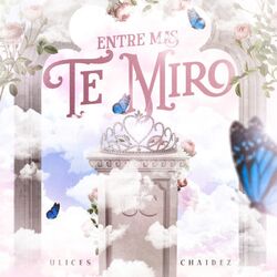Cover of Entre Mas Te Miro