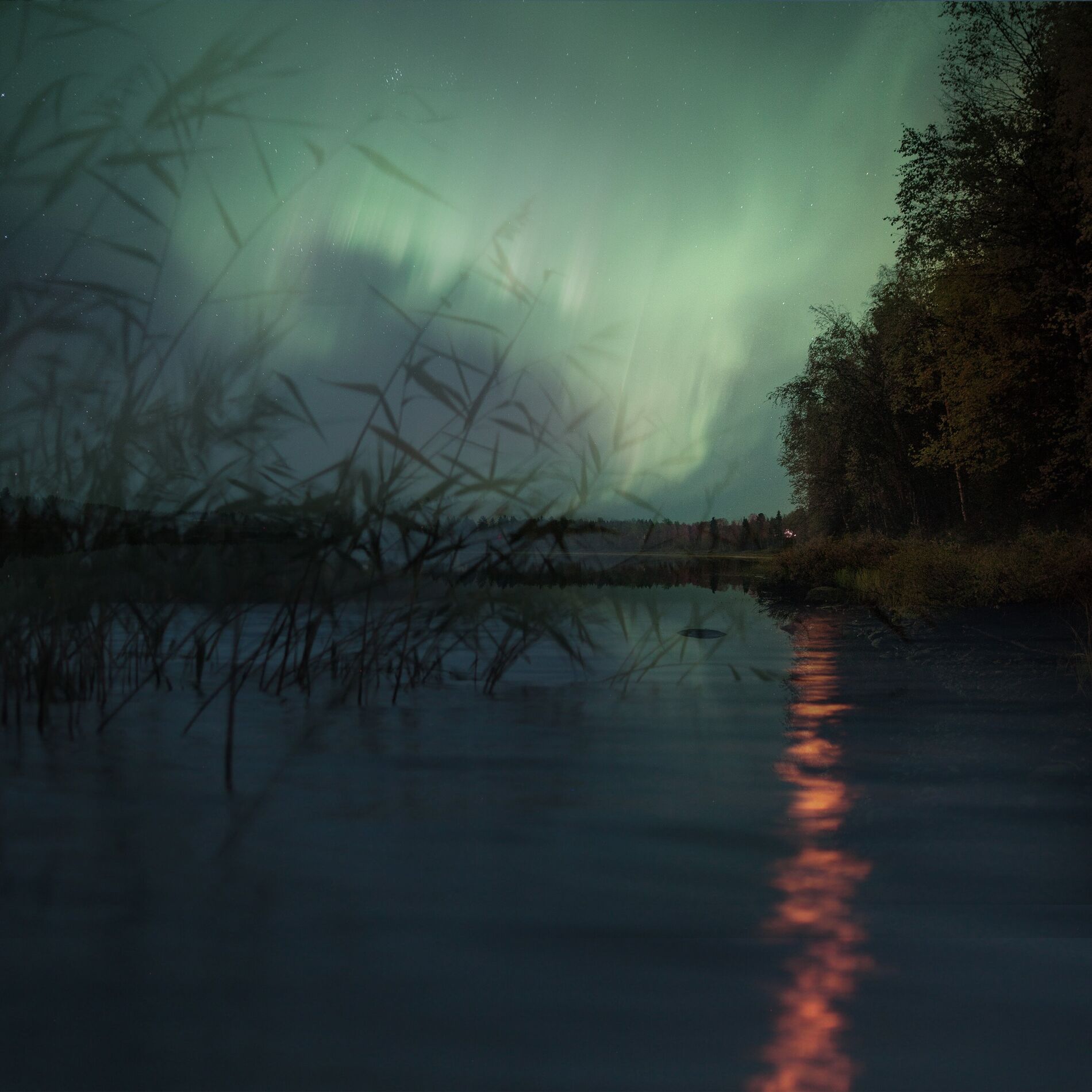 Album cover of Moonlit Reverie