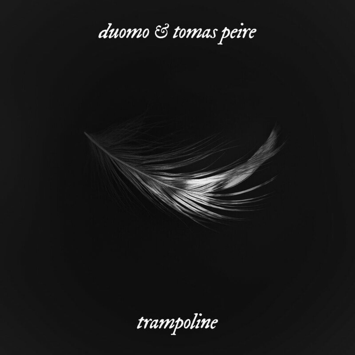 Album cover of Trampoline