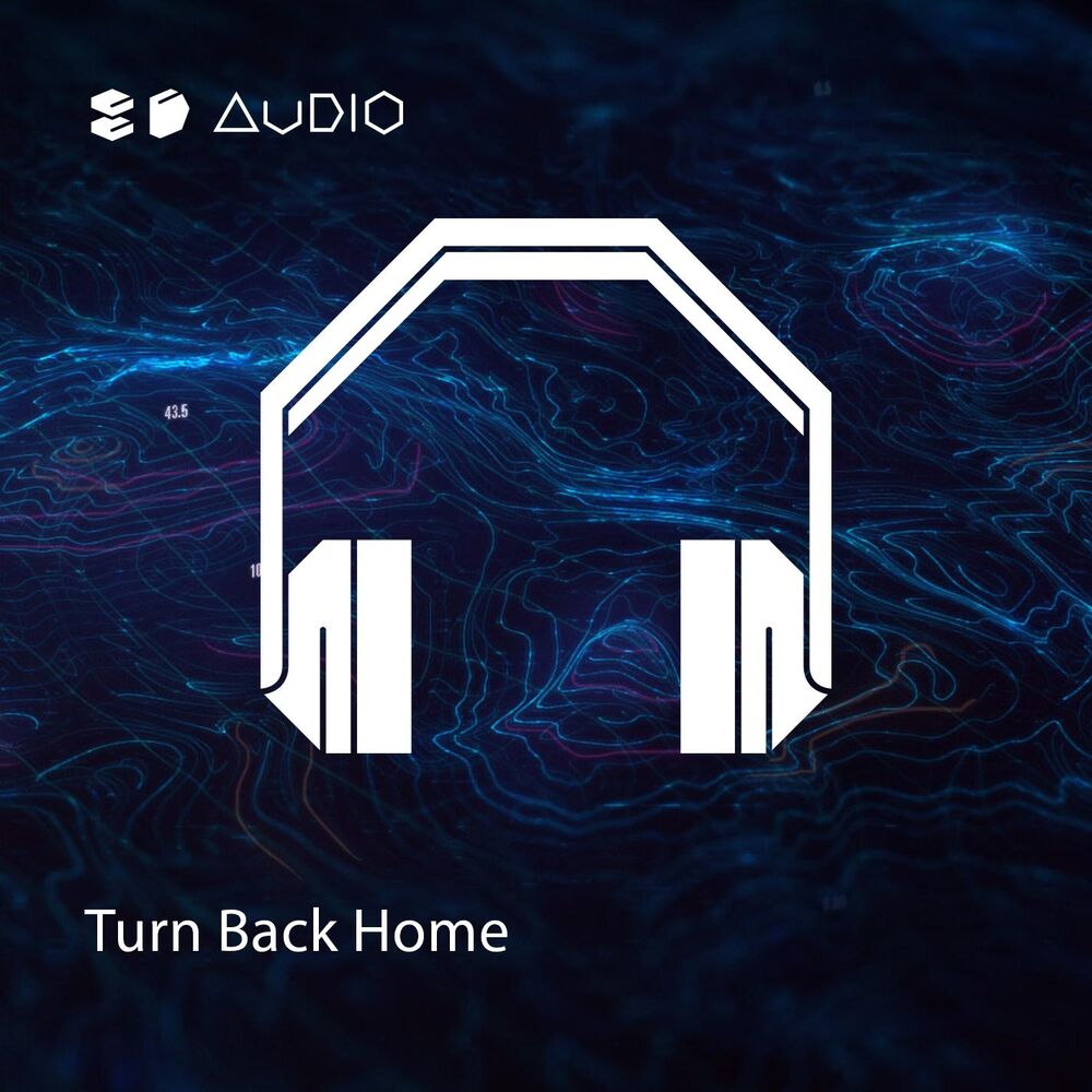 Picture of Turn Back Home