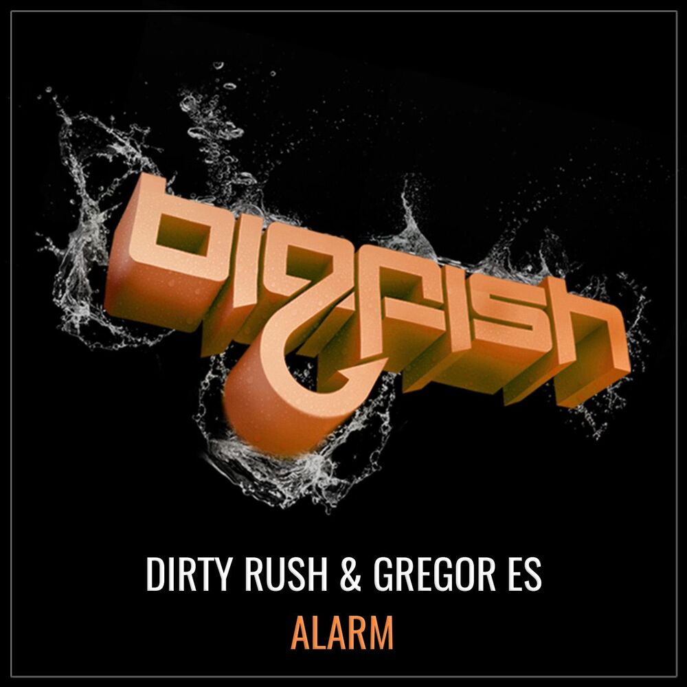 Picture of Alarm