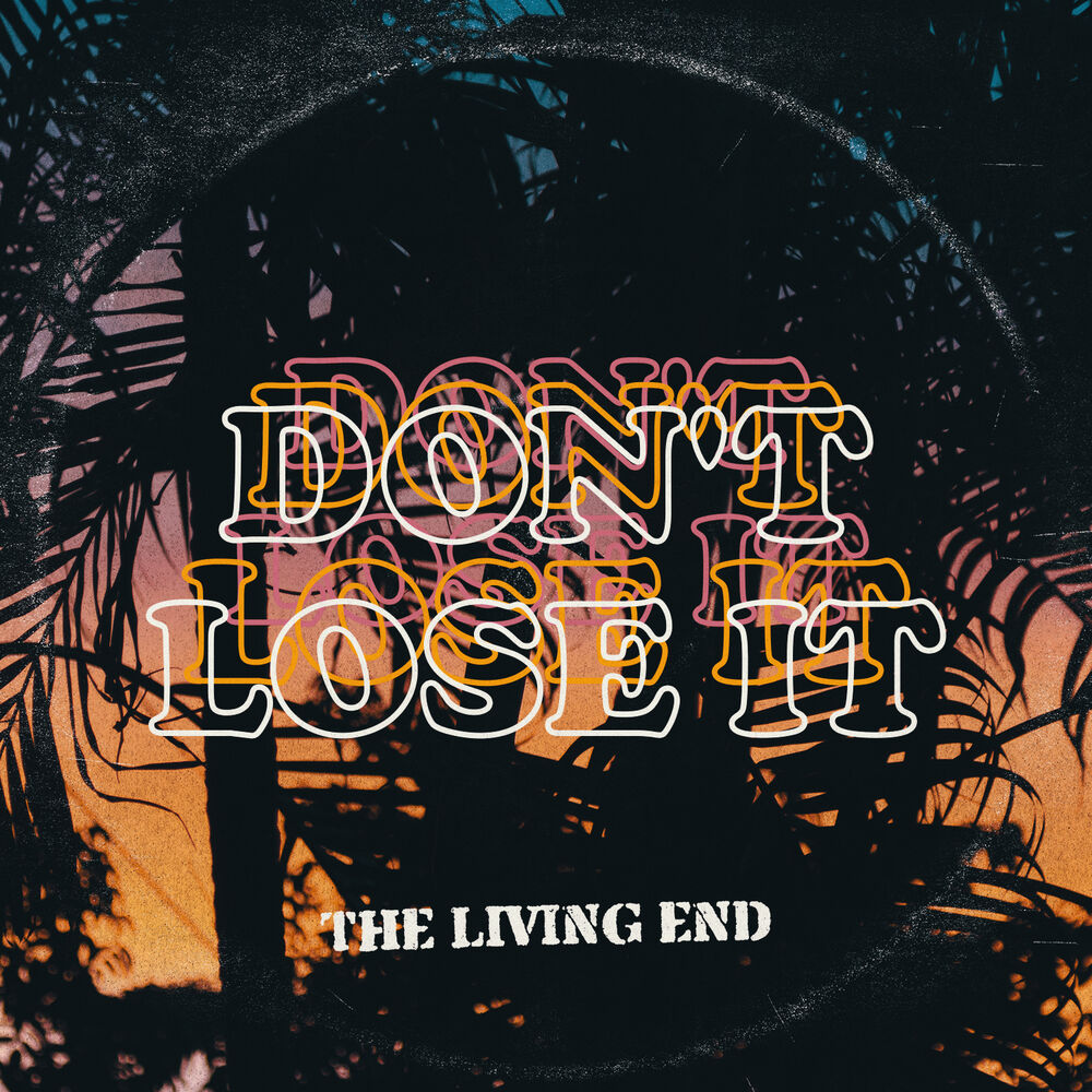 Picture of Don't Lose It