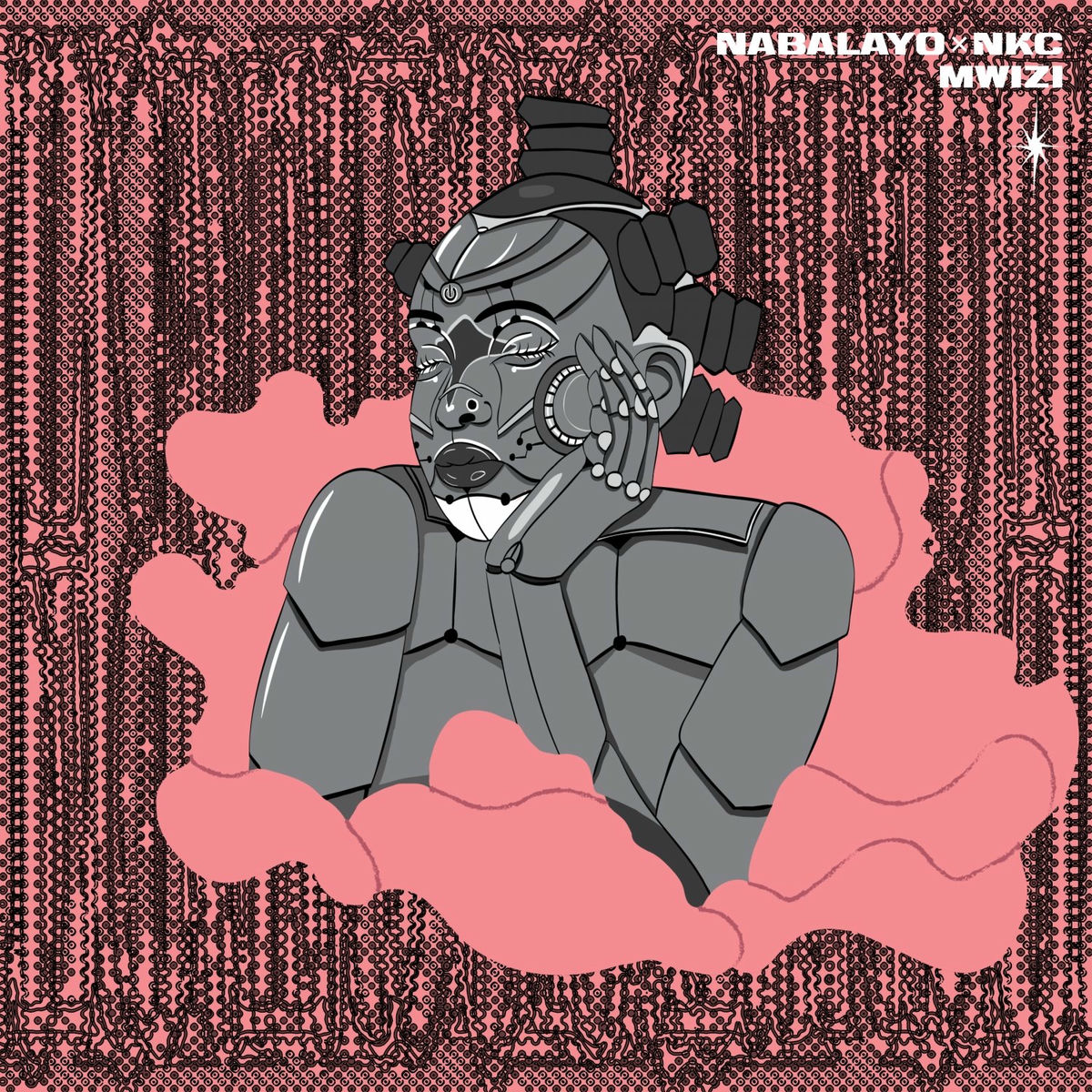 Album cover of Mwizi