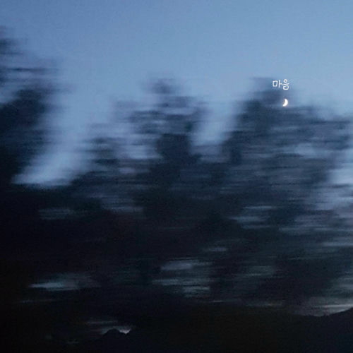 Flowatree – Heart – Single