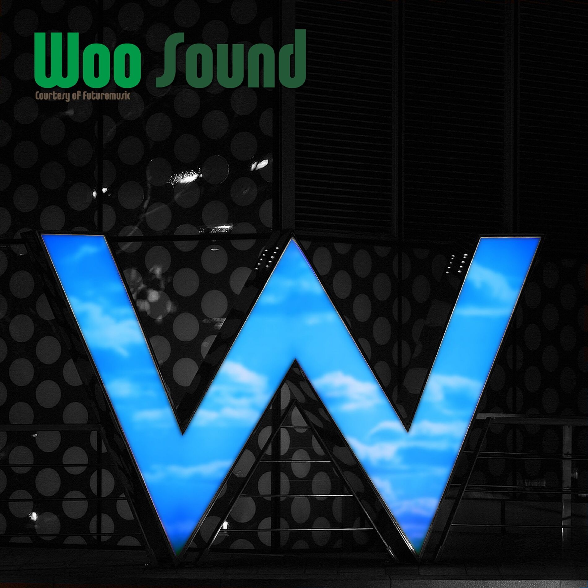 Album cover of Woo Sound