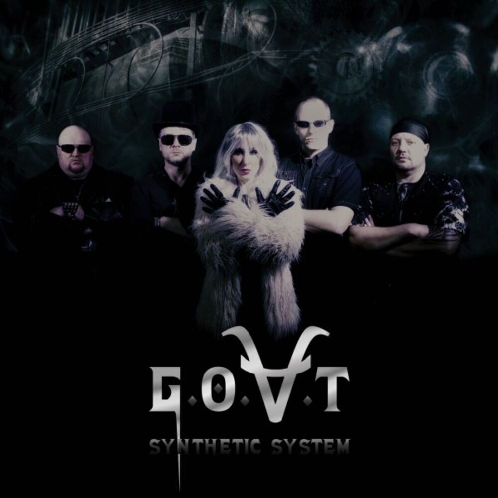 Picture of Synthetic System