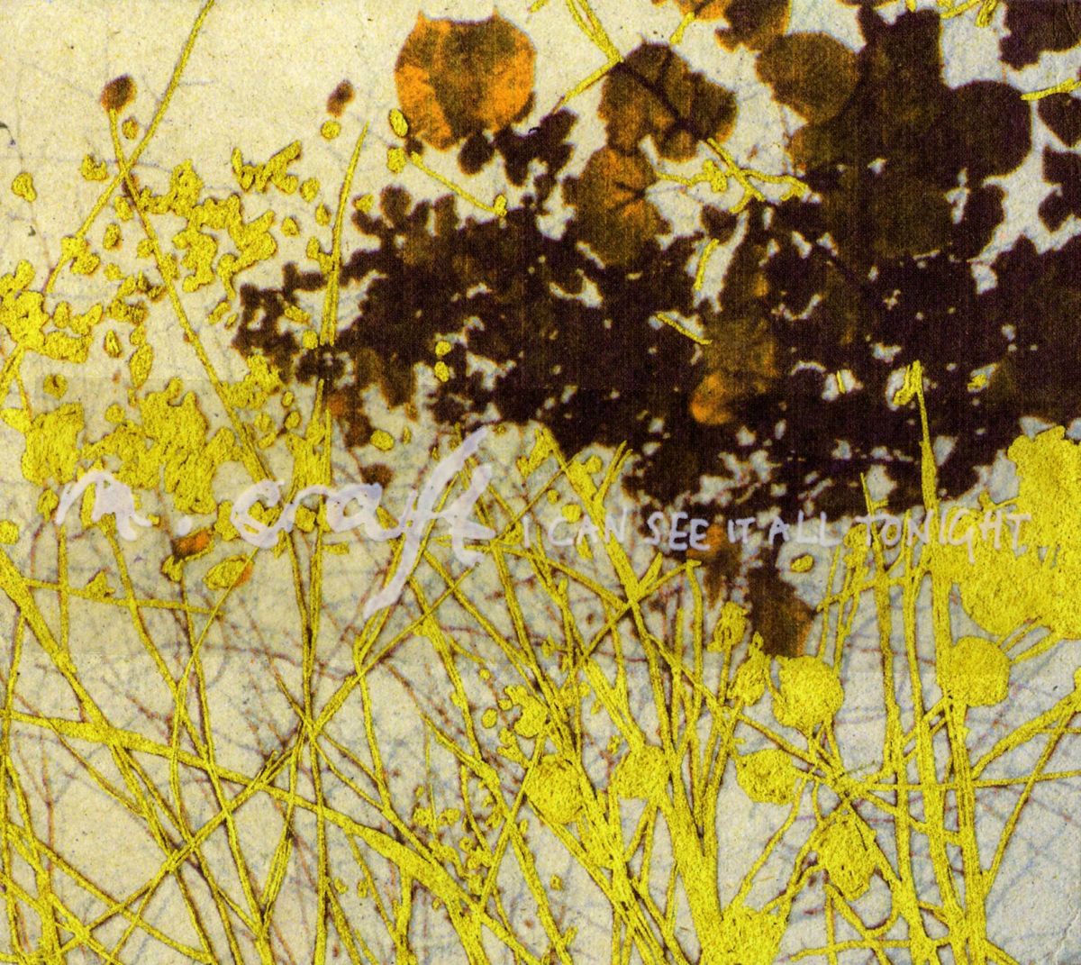 Album cover of Dragonfly