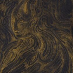 Cover of Winds, Whirlwinds and Tornadoes