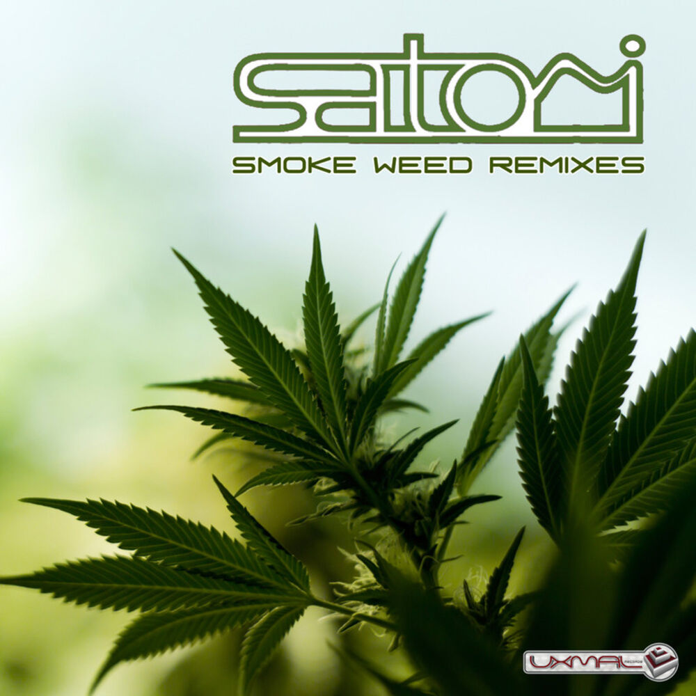 Picture of Smoke Weed Remixes - Single