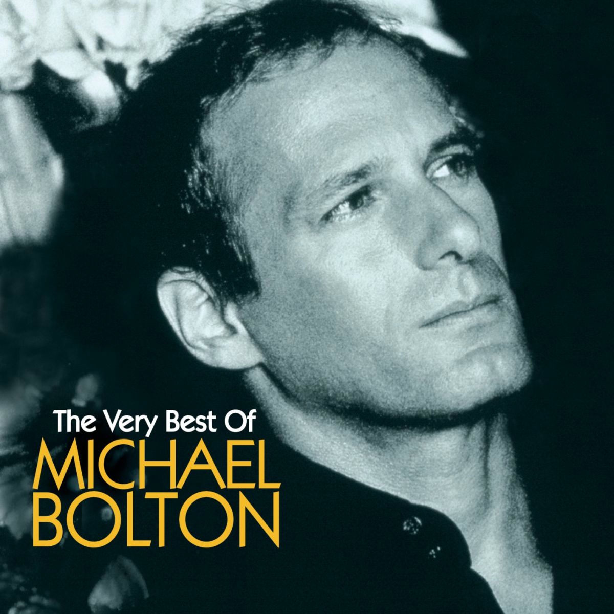 Album picture of Michael Bolton The Very Best