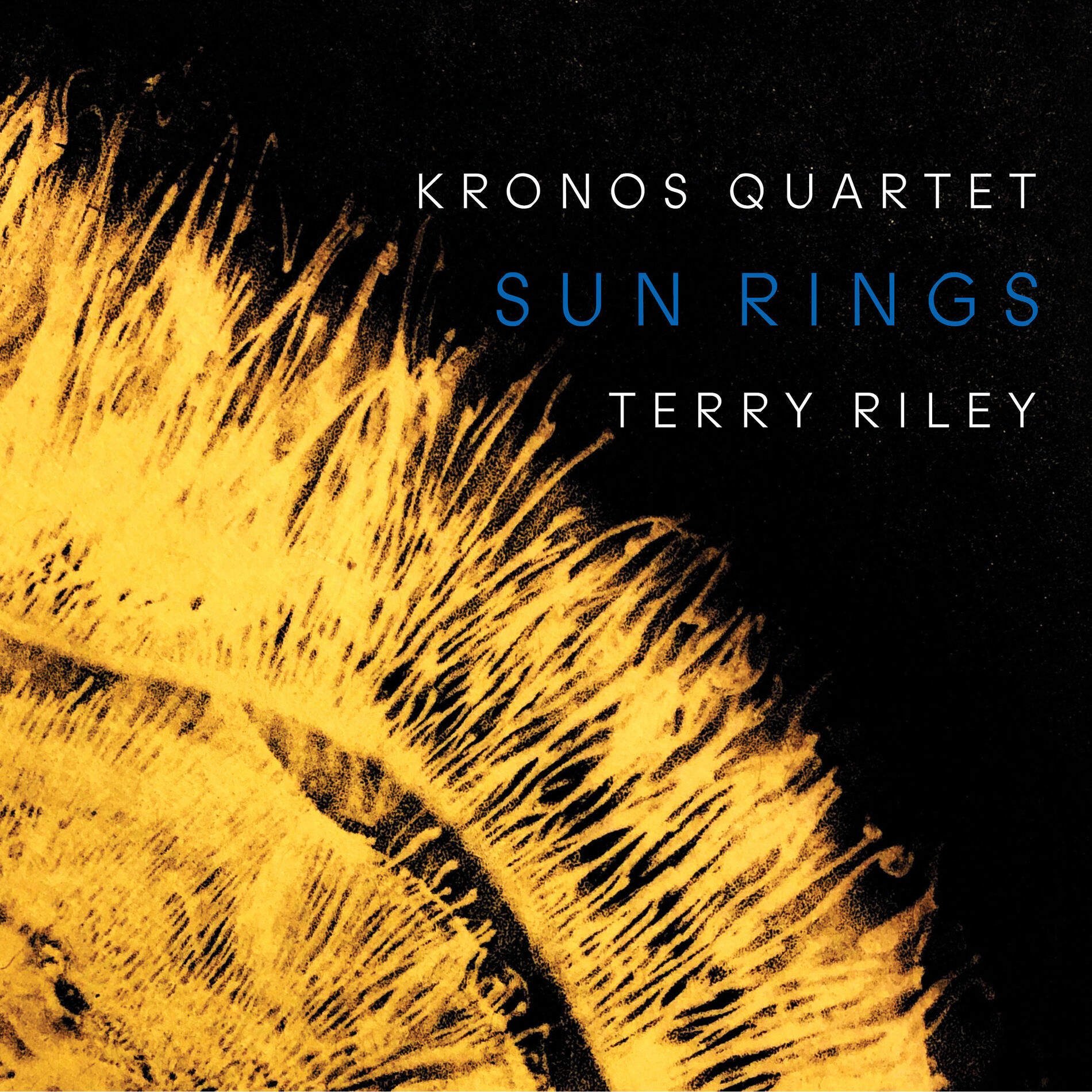 Album cover of Terry Riley: Sun Rings