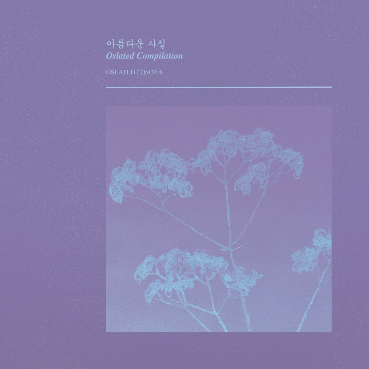 Album cover of 아​름​다​운 사실 Beautiful Facts
