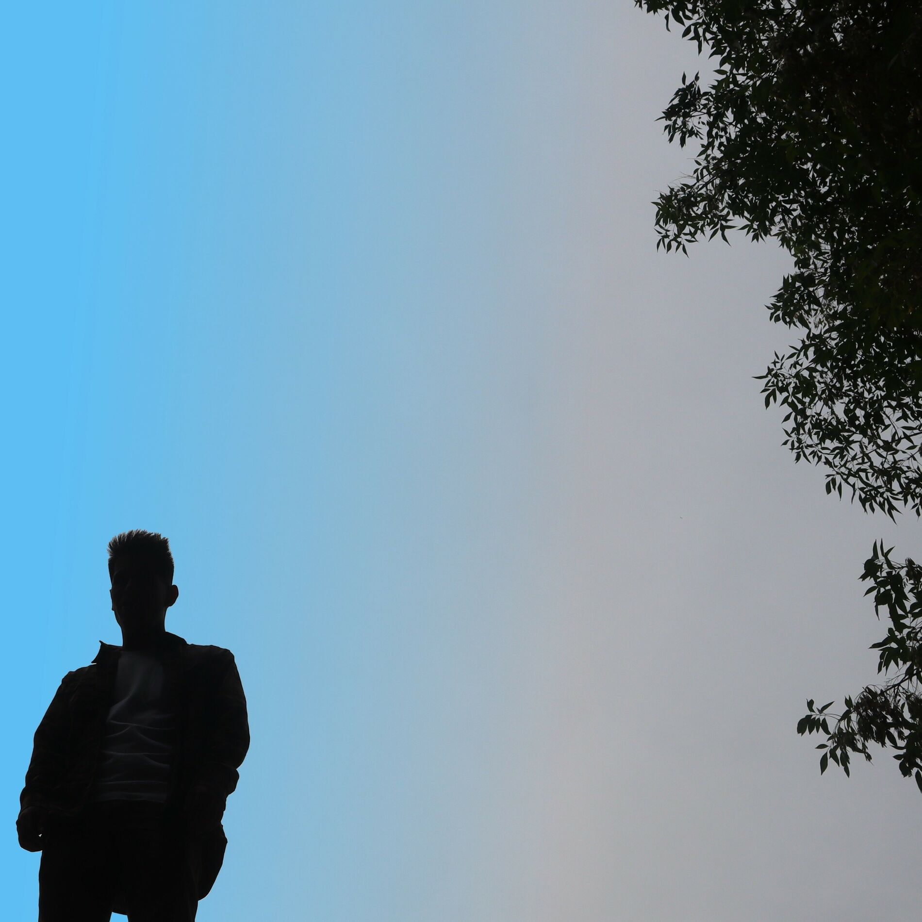 Album cover of Desco1cido