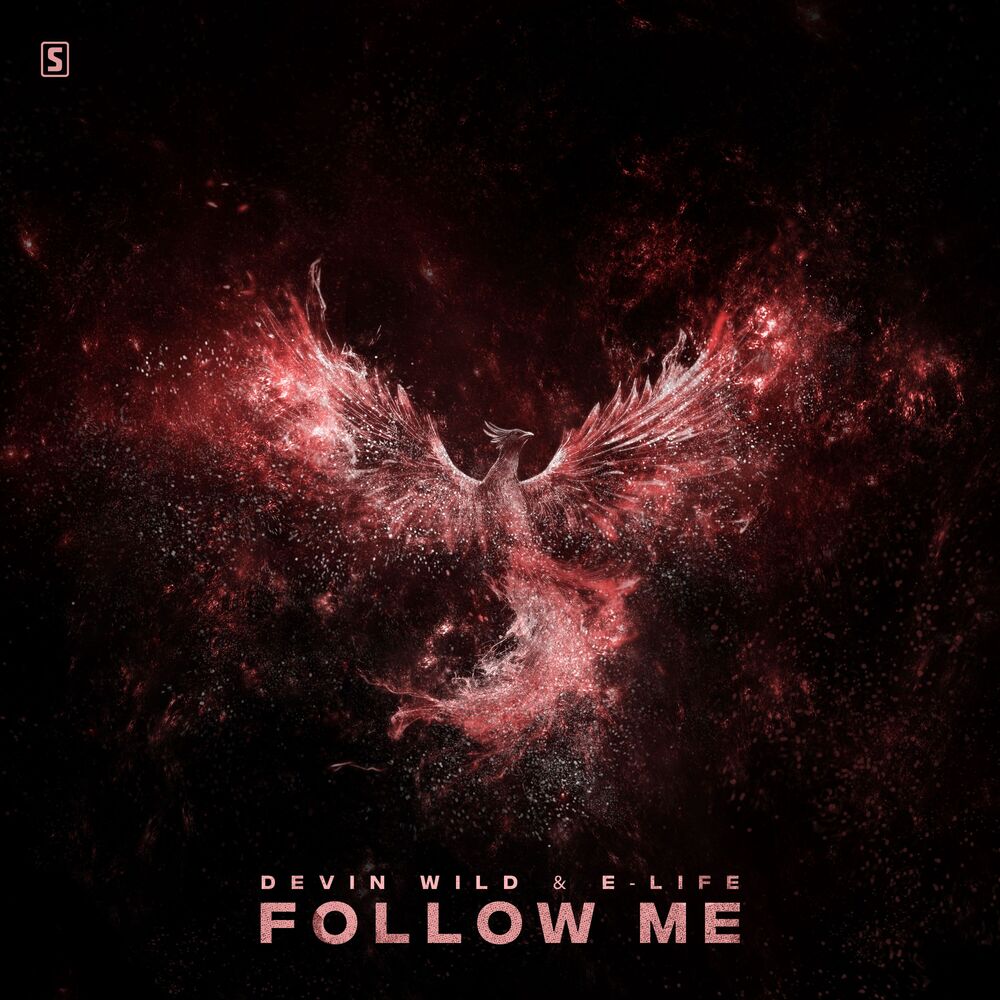 Picture of Follow Me