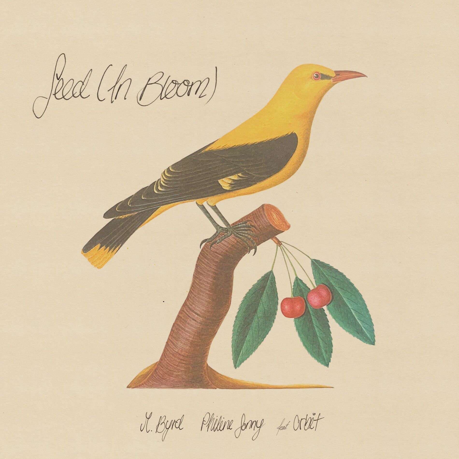 Album cover of Seed