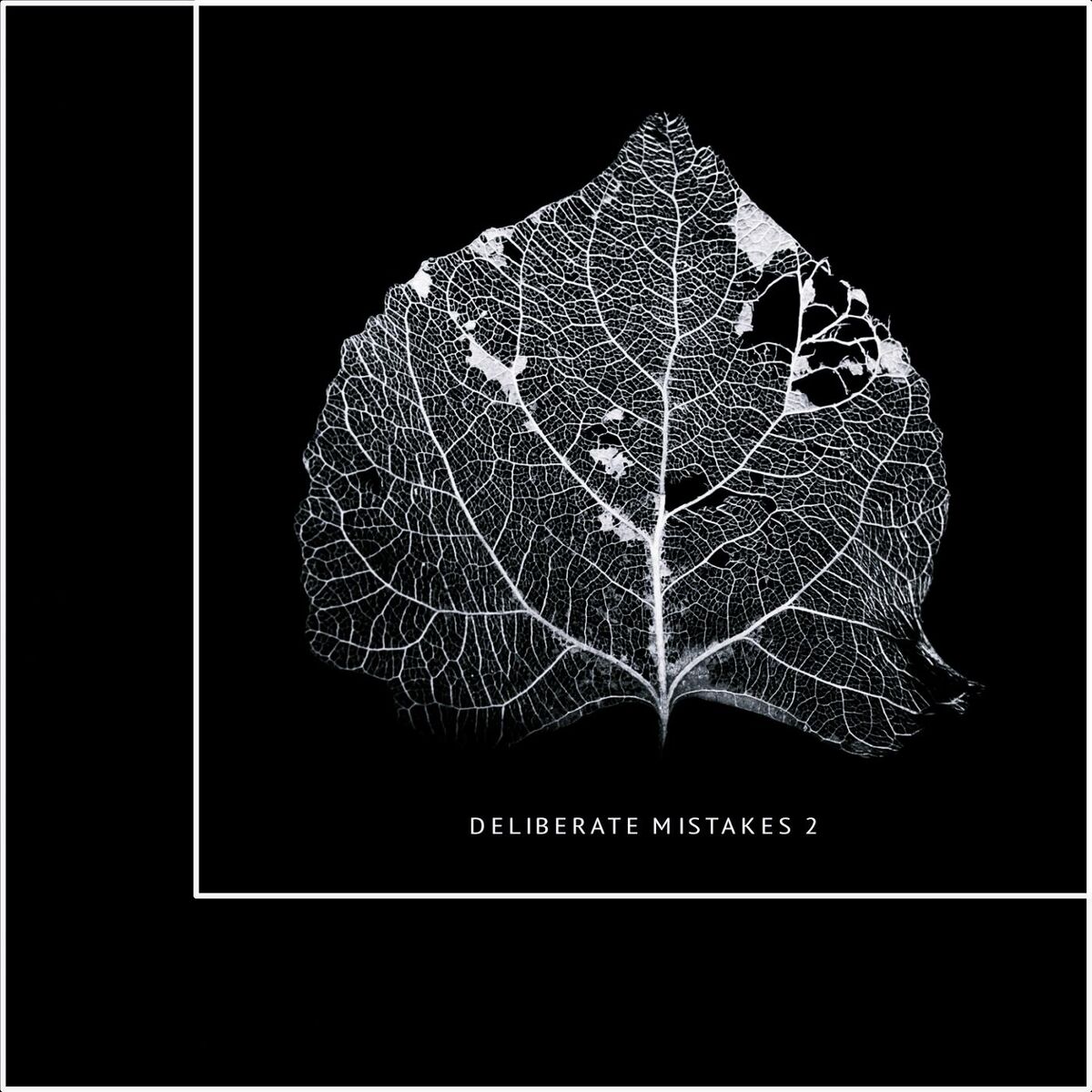 Album cover of Deliberate Mistakes 2