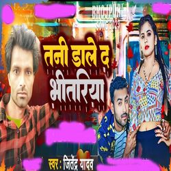 Cover of Tanee Daale Da Bheetariya