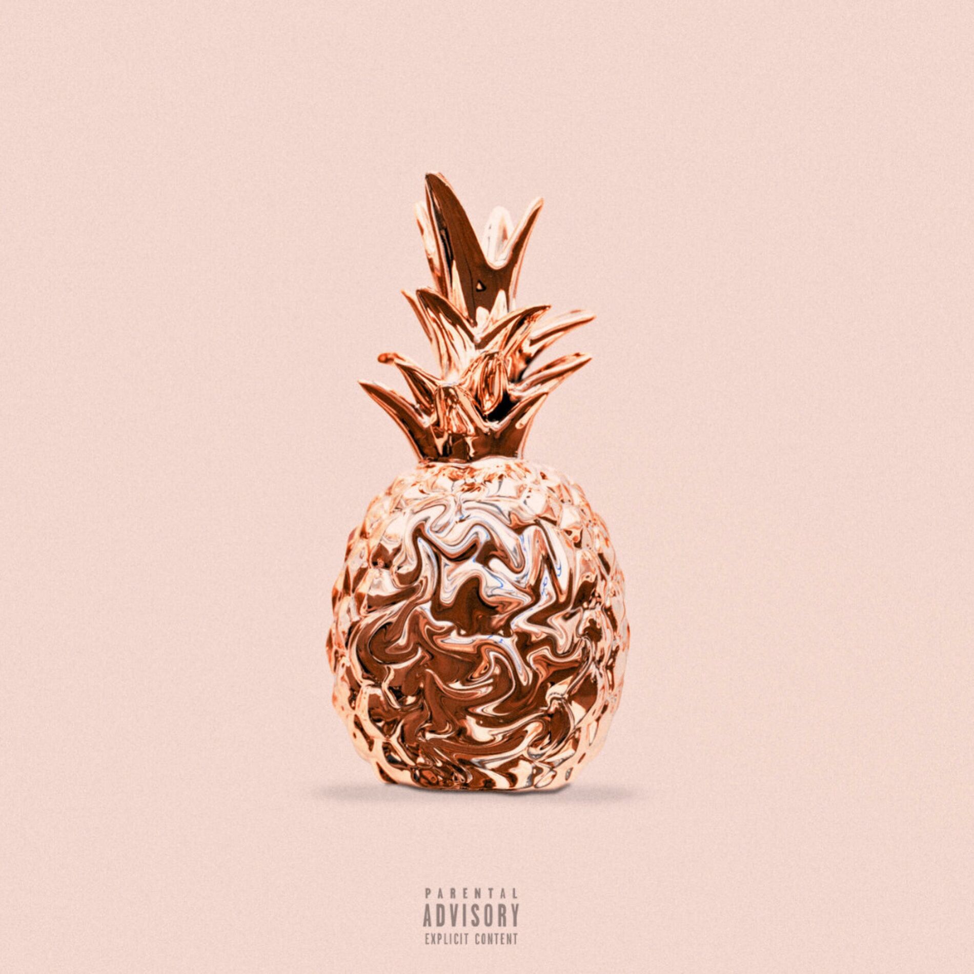 Album cover of DIVIDENDS (feat. YBN Nahmir & Bobby Shmurda)