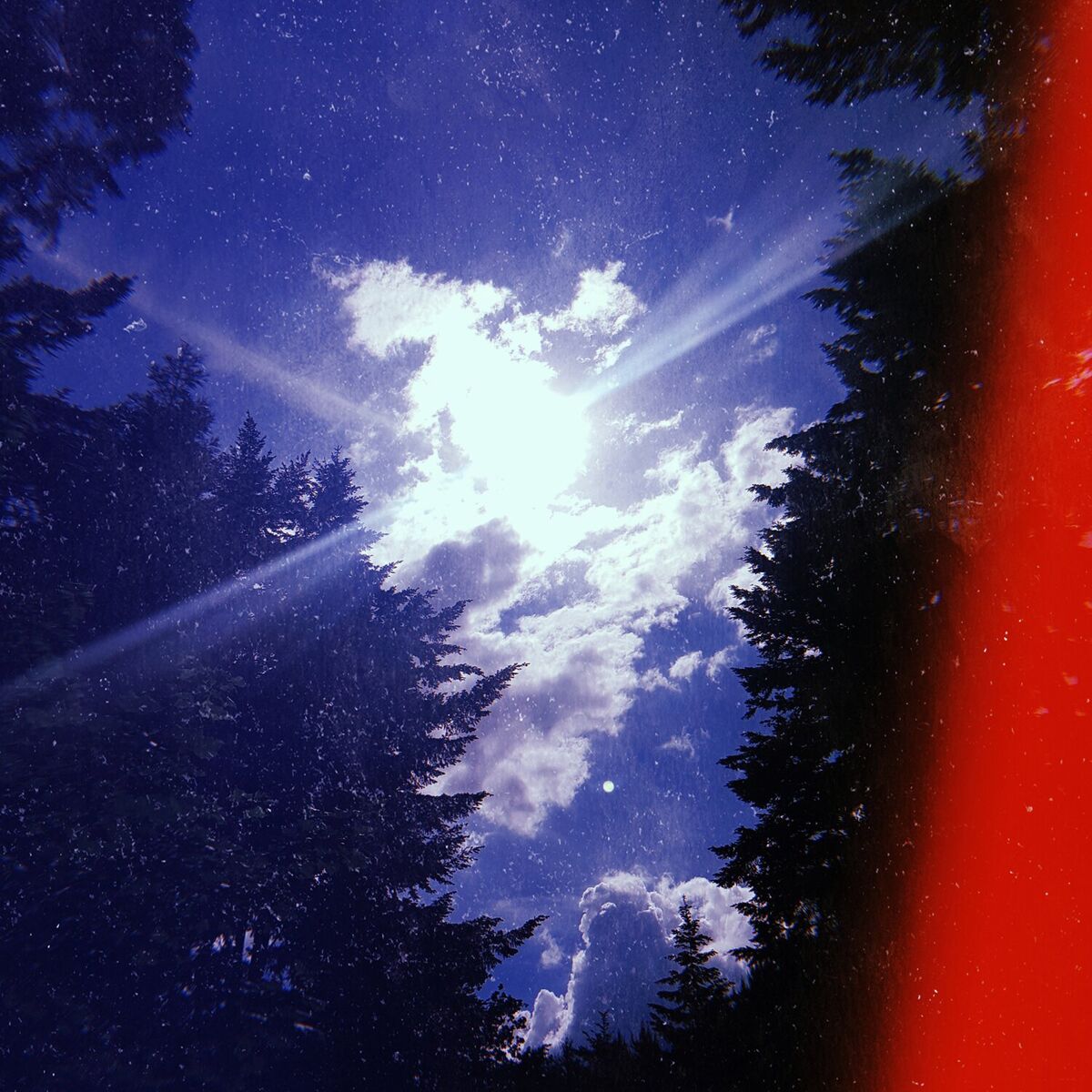 Album cover of Sanxenxo