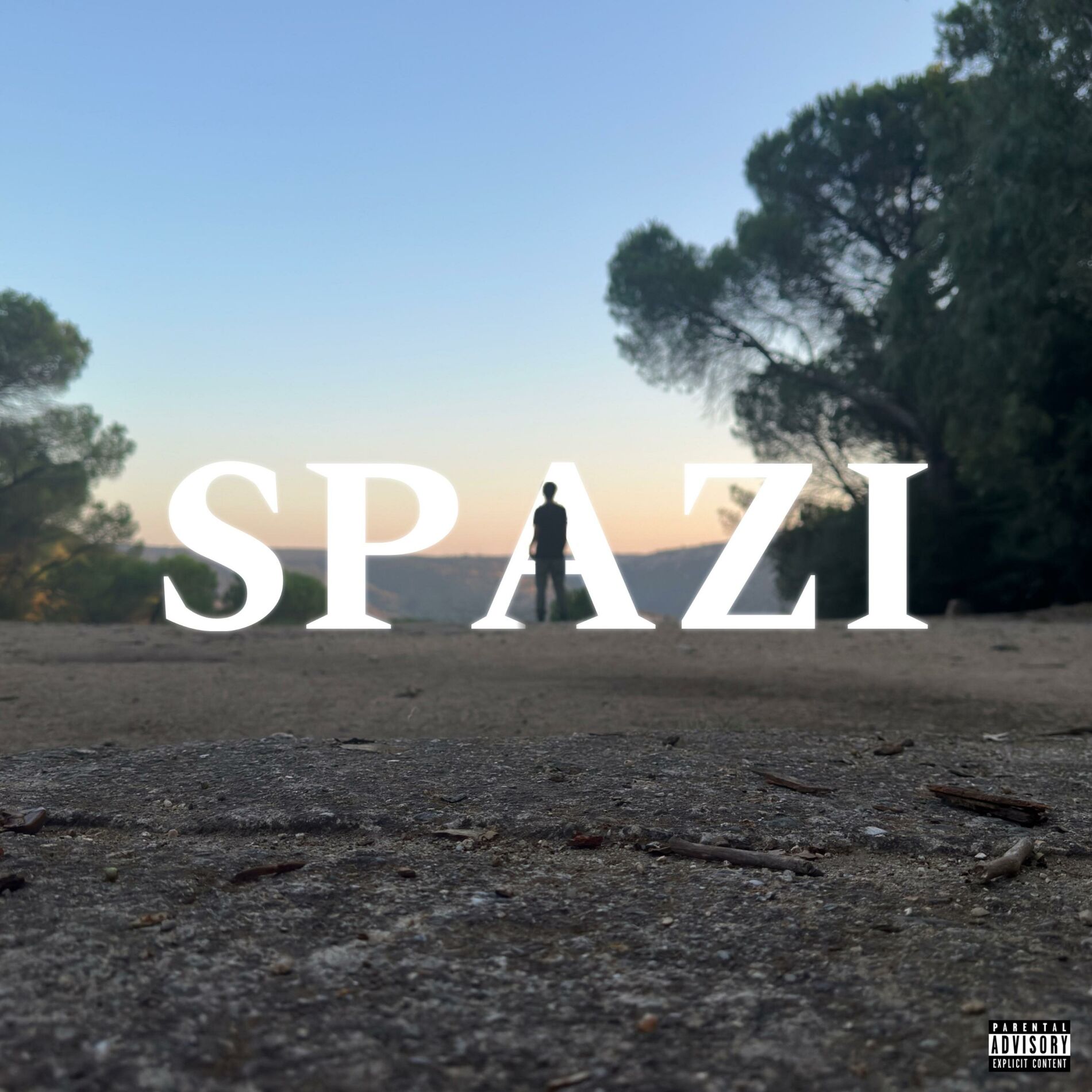 Album cover of SPAZI