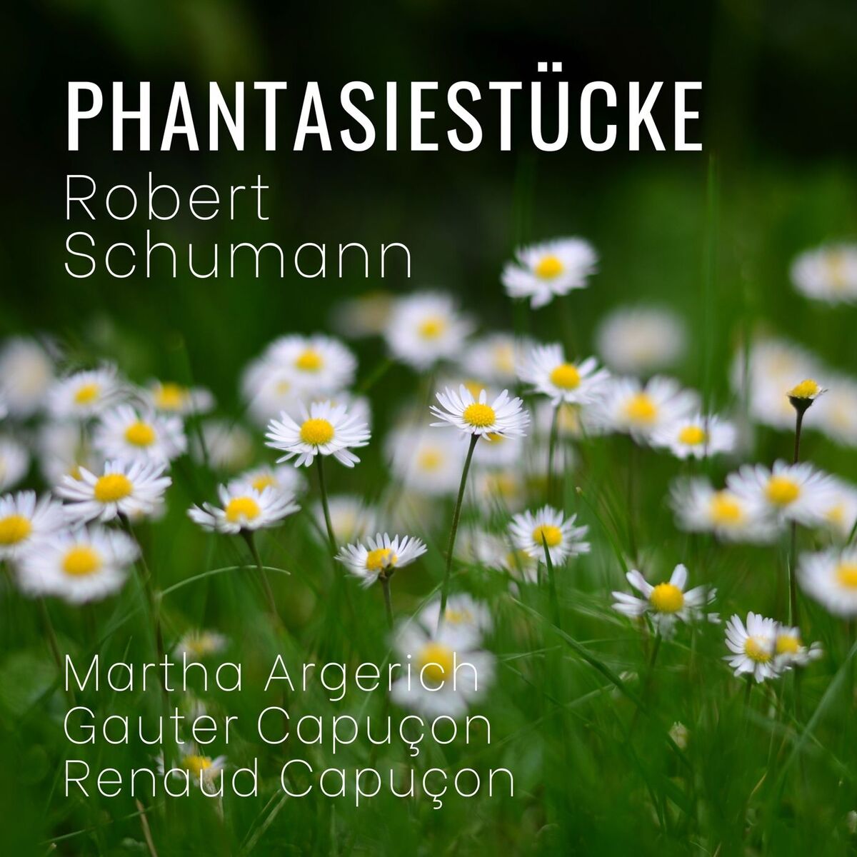 Album cover of Phantasiestücke, Op. 88: II. Humoreske. Lebhaft