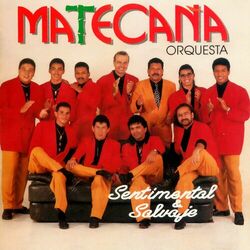 Cover of Sentimental y Salvaje