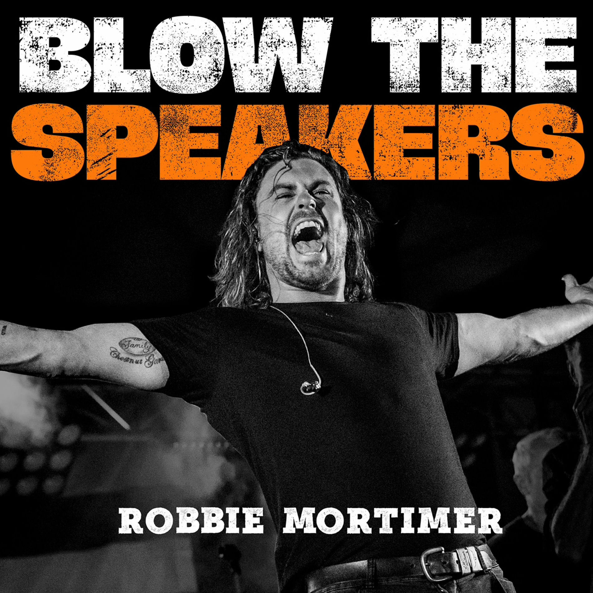 Album cover of Blow The Speakers