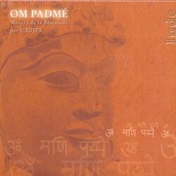 Cover of Mantra : om mané padmé om