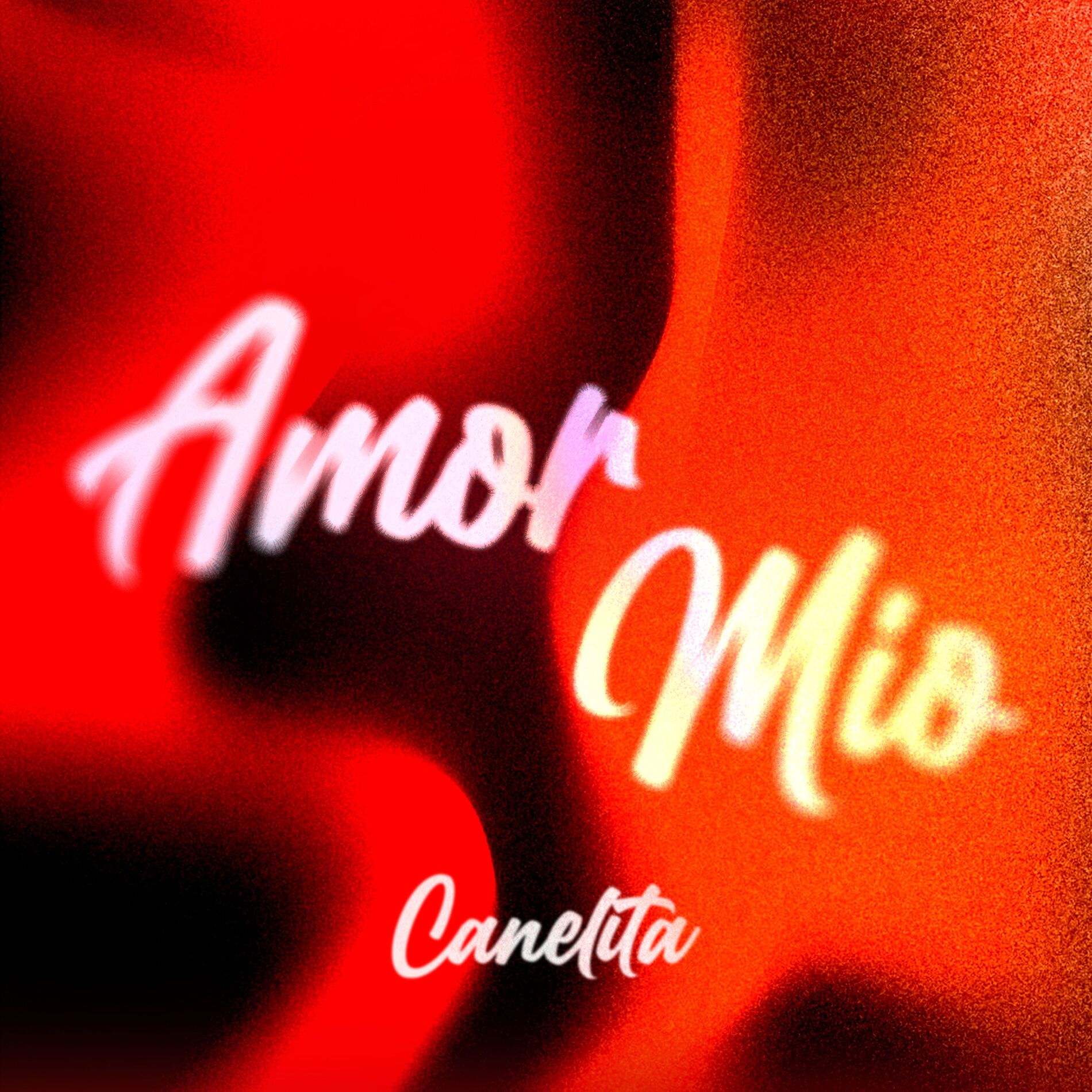 Album cover of Amor Mío