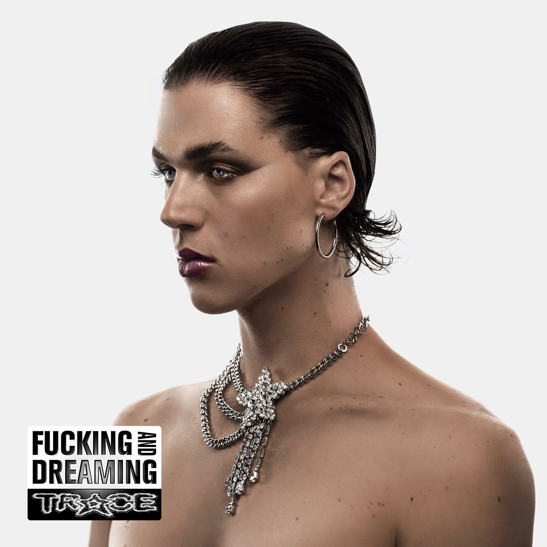 Album cover of FUCKING AND DREAMING