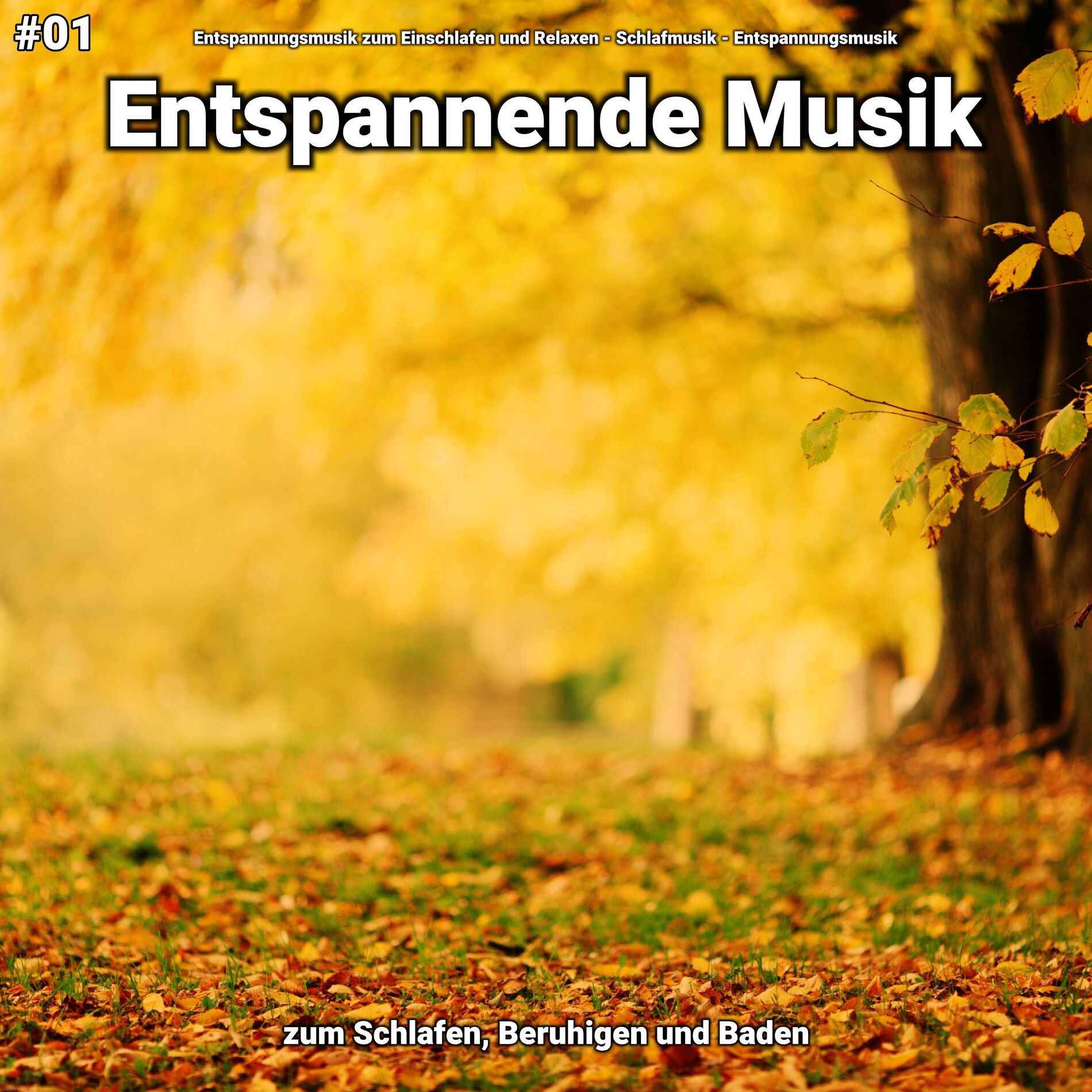 Album cover of #01 Entspannende Musik zum Schlafen, Beruhigen und Baden