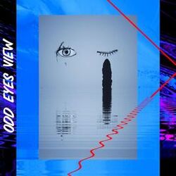Cover of Odd Eyes View