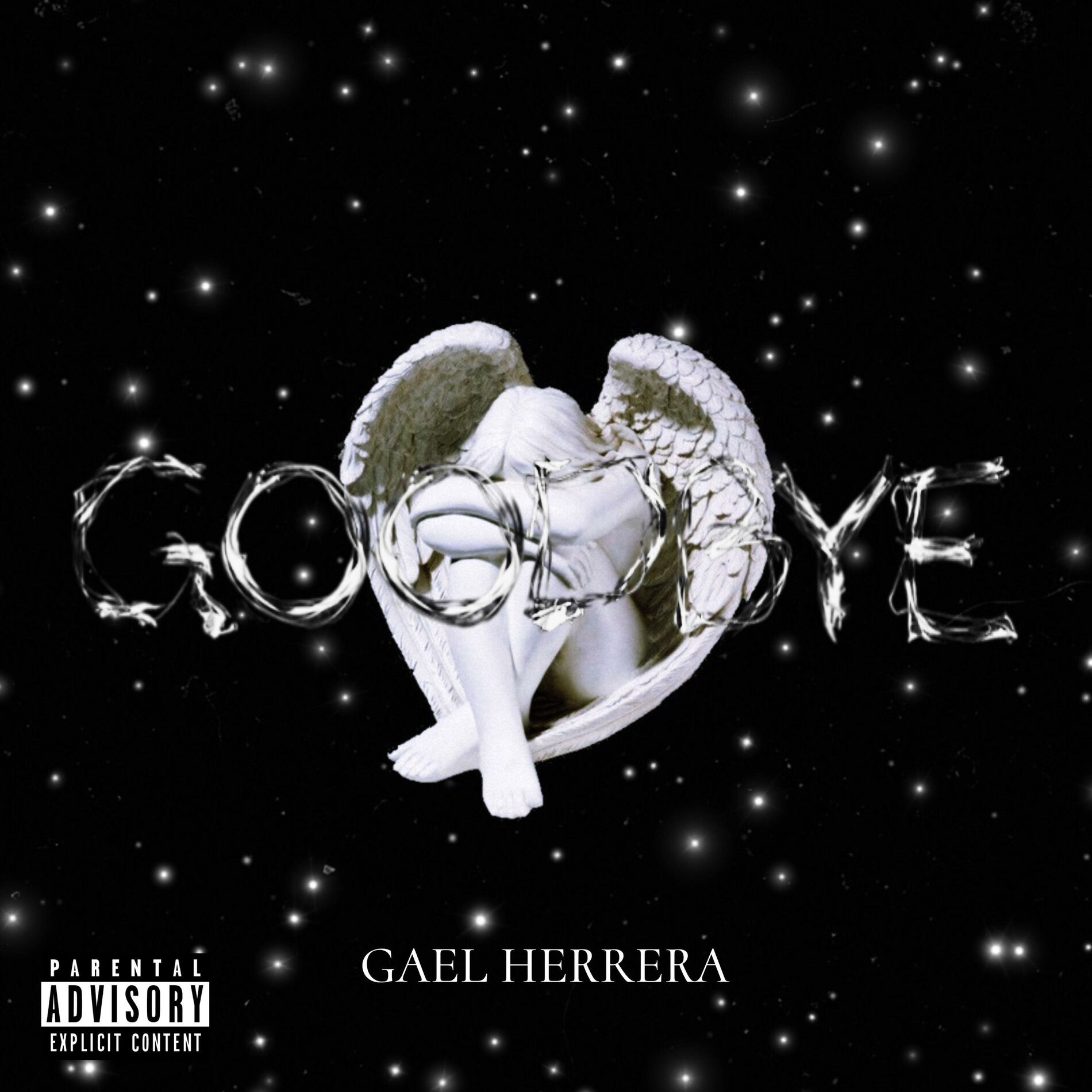 Album cover of GoodBye