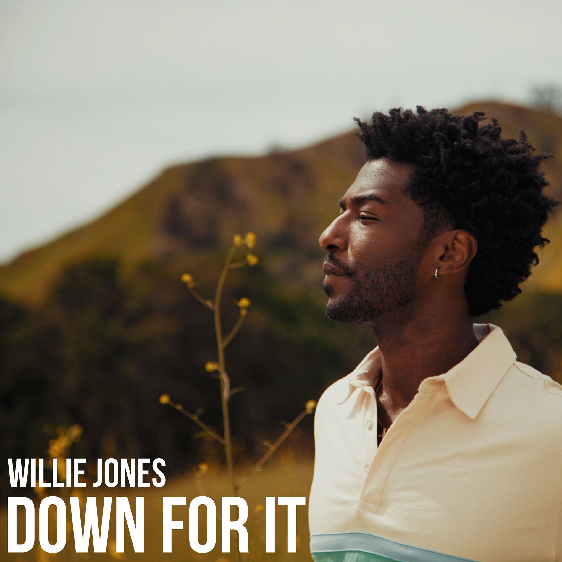 Album cover of Down For It