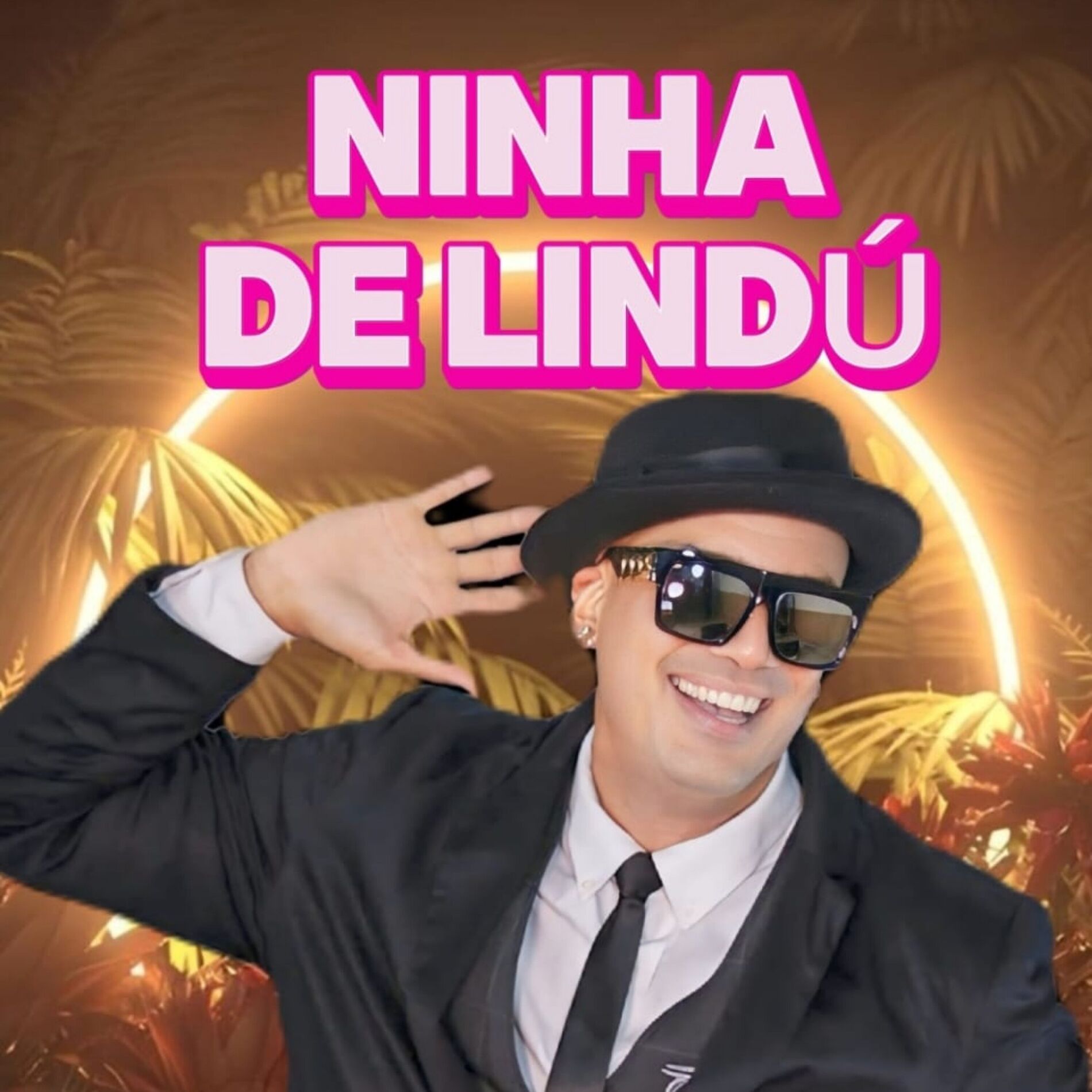 Album cover of Ninha de Lindú