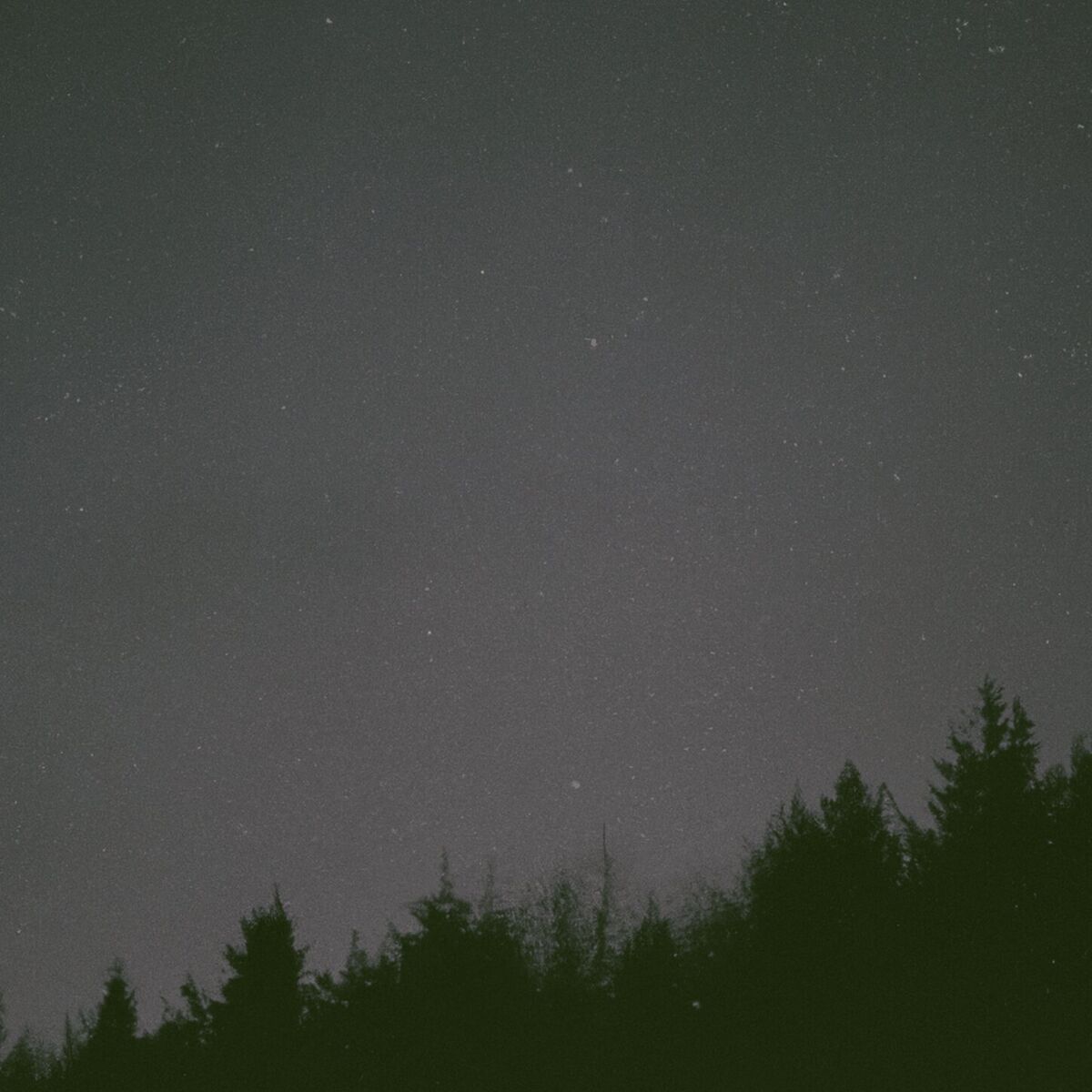 Album cover of Starlit