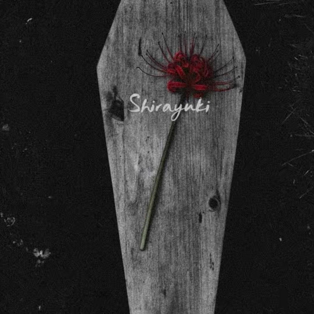 Bury me for peace cover
