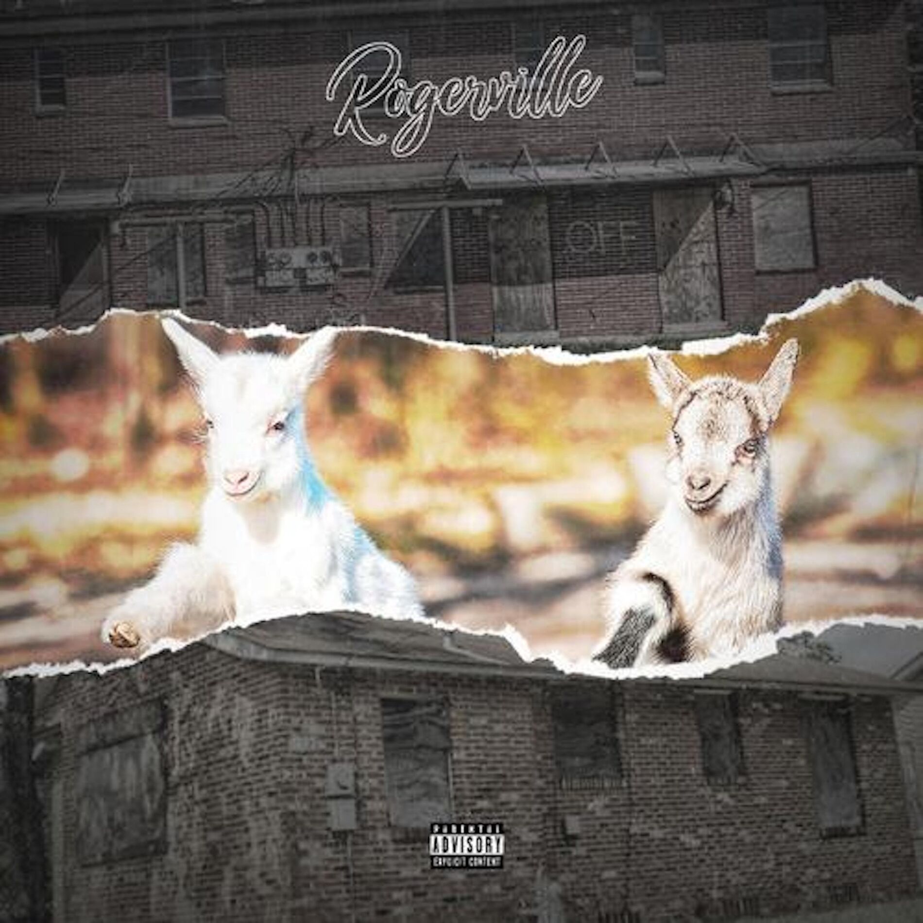 Album cover of RogerVille