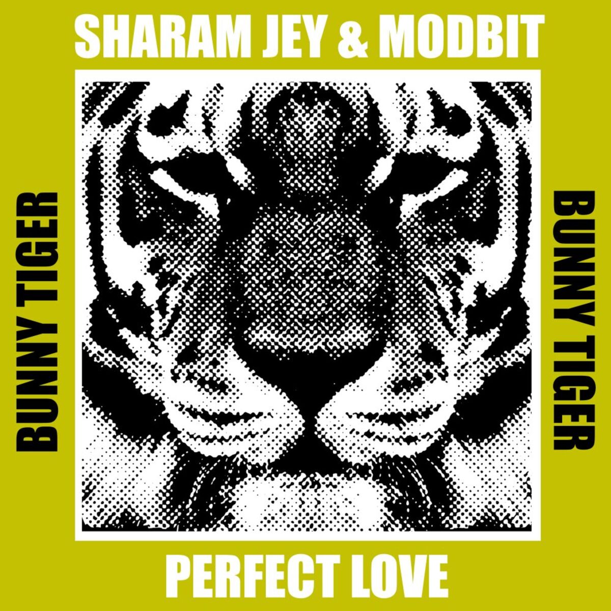 Album cover of Perfect Love