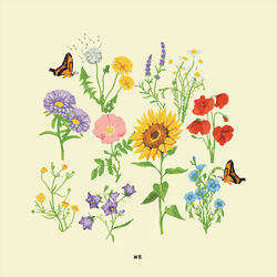 Cover of we