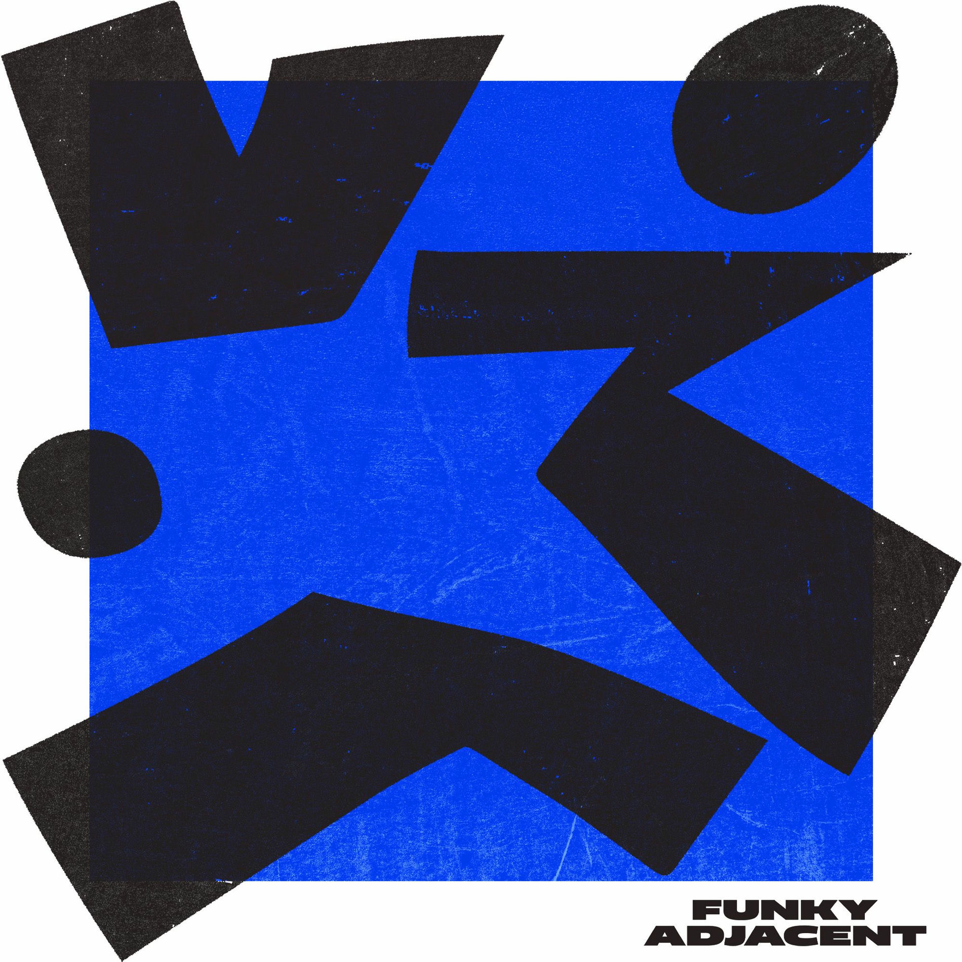 Album cover of Funky Adjacent VA2